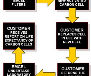 Carbon Life Prediction Service